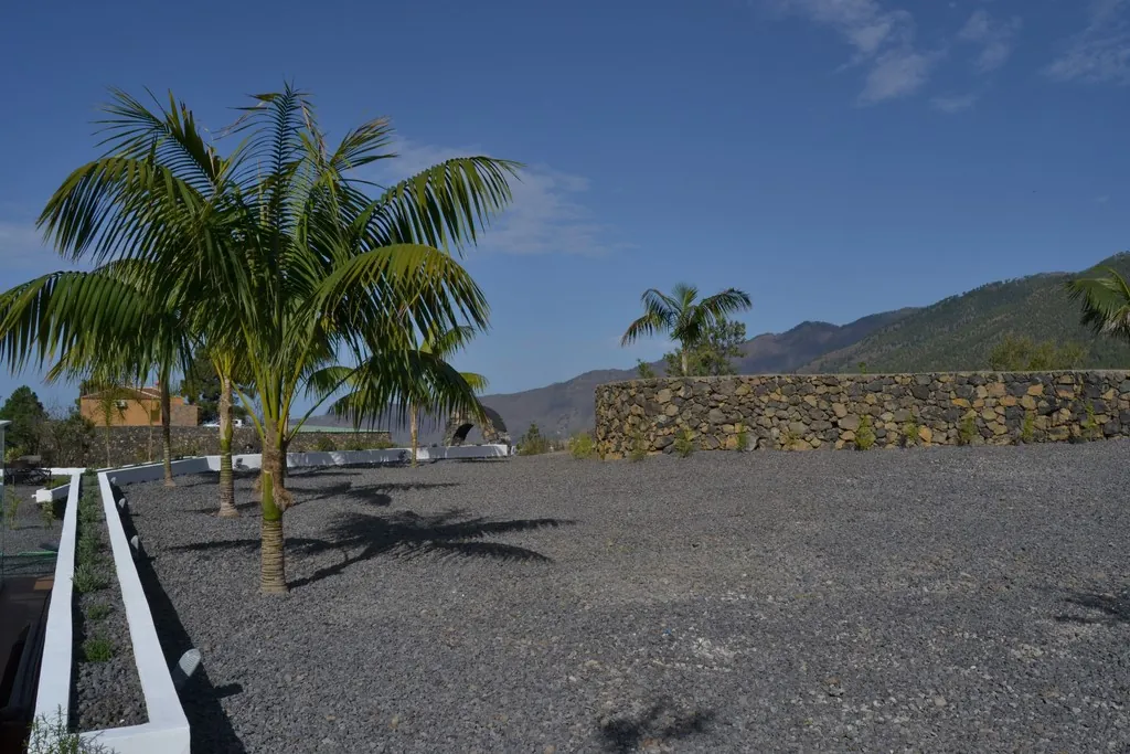 Jardín con palmeras y vistas al valle