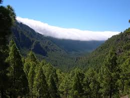 Isla de la palma, canarias, España